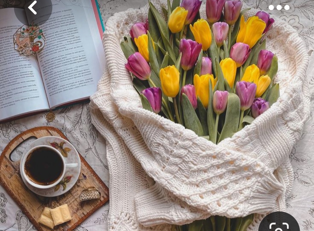 Screenshot_20230408_003408_Pinterest