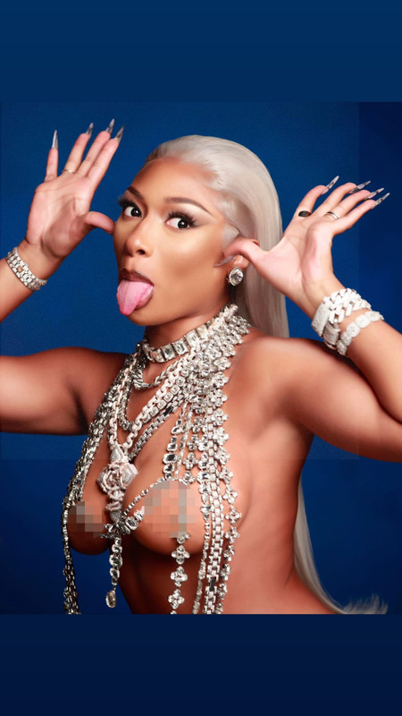 [Image: UD-theestallion-3296230424543247721-05-02-2024.jpg]