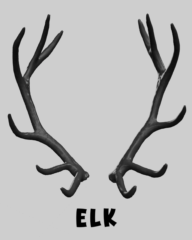 Elk Antlers