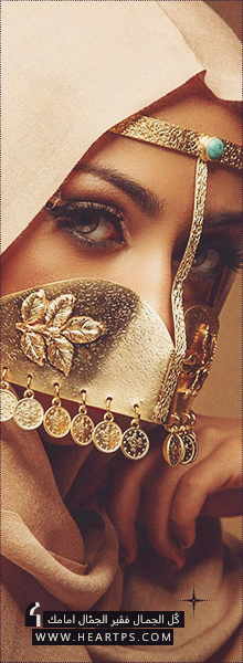 ���� ���� ������ �� ���� ������