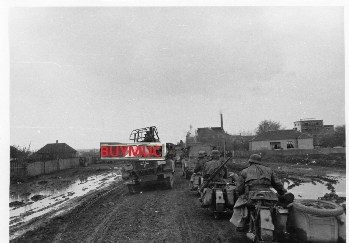 LARGE FOTO Belgrad Wehrmacht Panzer Spähwagen Bi