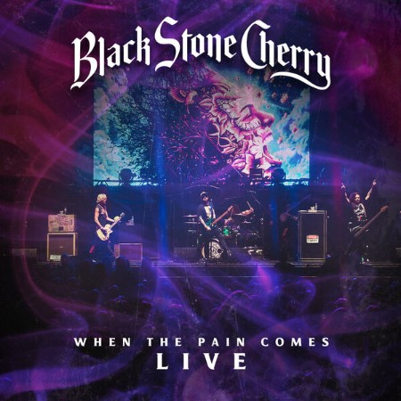 Black Stone Cherry - When The Pain Comes (Live) (2024)