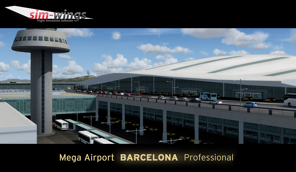 barcelona-professional (13)