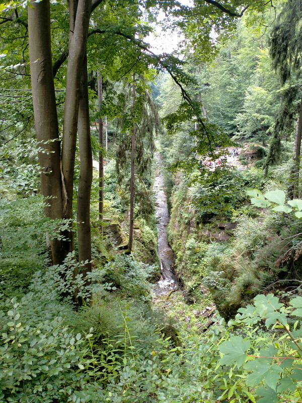 016 - IMG20210802124849