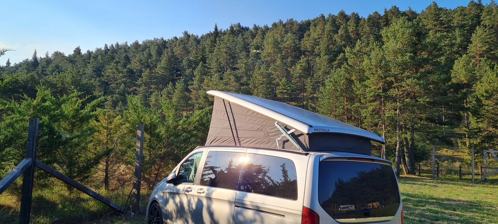 La Toscana 2022: entre termas y cipreses - Blogs de Italia - Portofino: el puerto de los delfines (6)