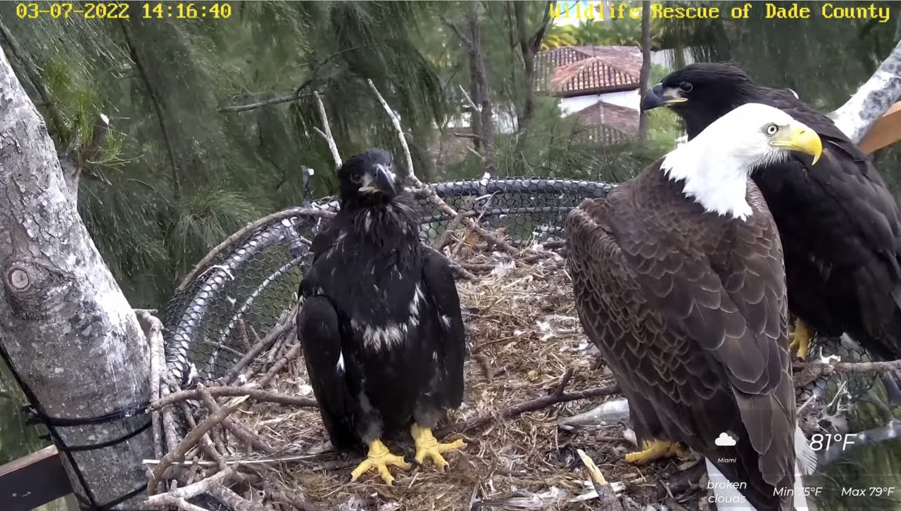 6684DCFC-8E01-4CE3-8229-6340C82C643A