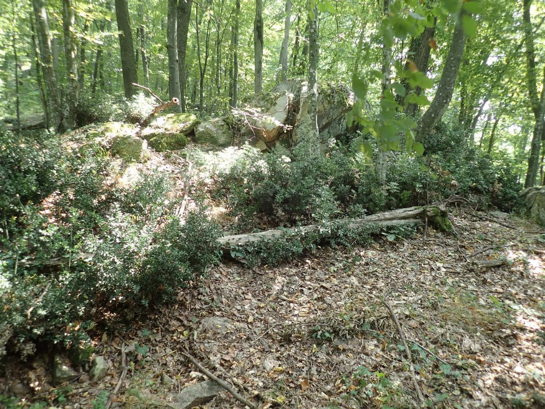 RUTIZAM SRBIJA - DragoševacJerinin grad (jagodinski) (11)