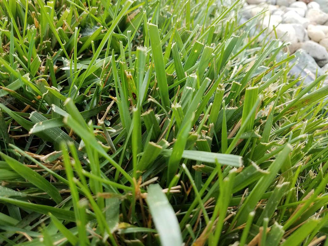 A276F338-586C-46E7-AA2B-B94CCC05CACB