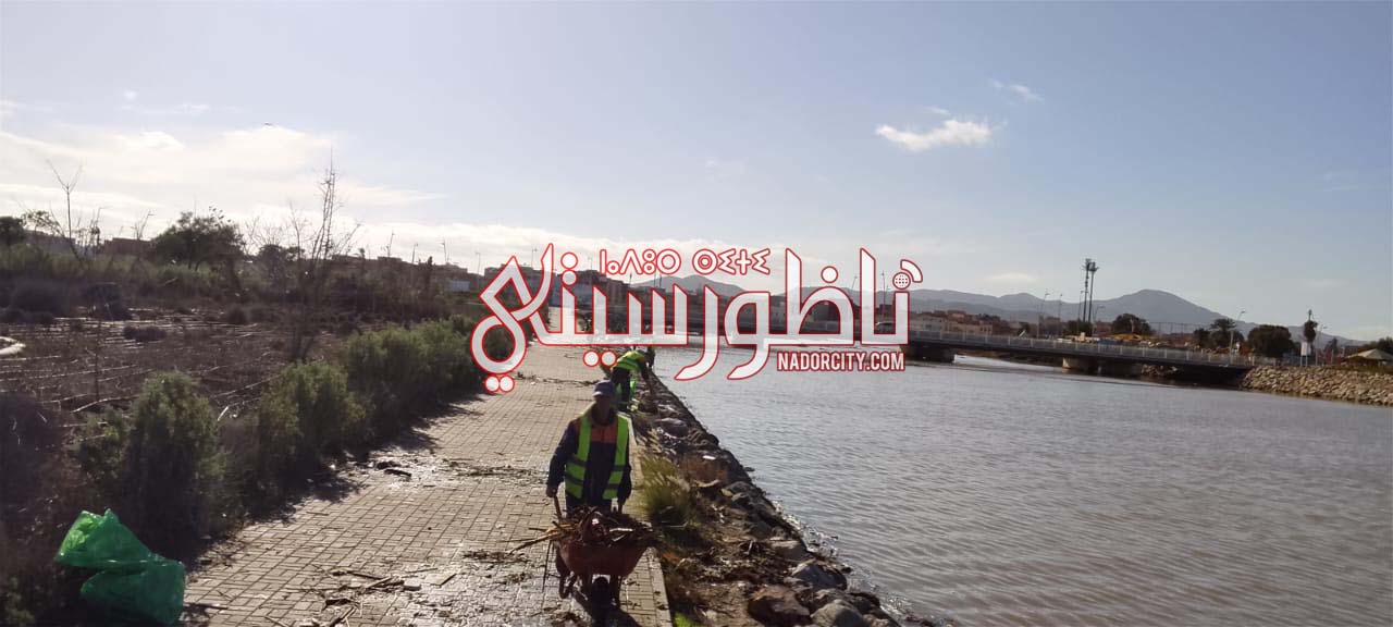 609511368-1519930895935335-4998065876220910759-n