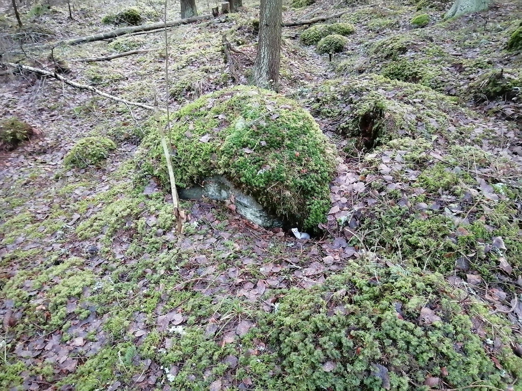 80835175_995306140867909_692912438277832704_n (1)