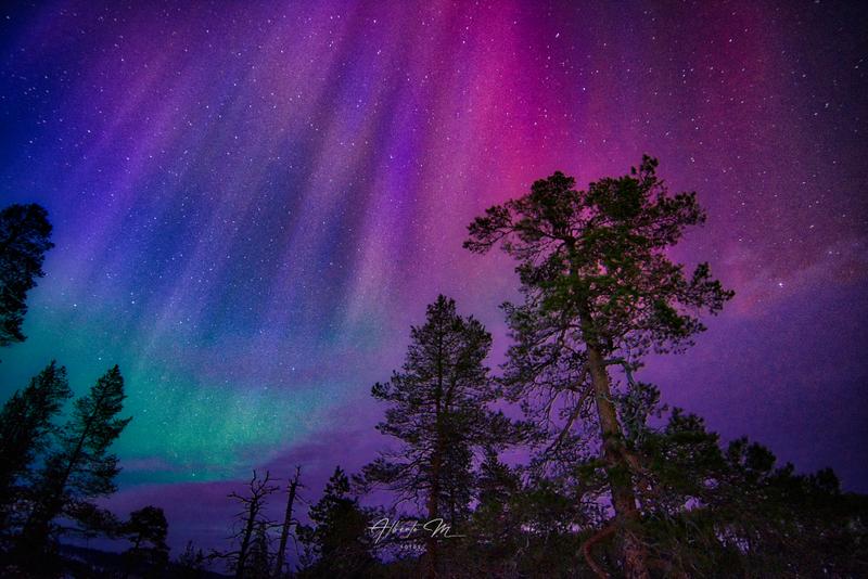 PARTE II - Auroras - 3.er reportaje por Laponia norte - Marzo 2025 (16)