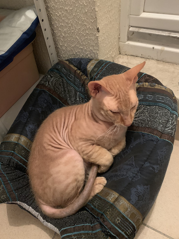 9A62B784-AEE8-41DA-85C0-F752845AE648