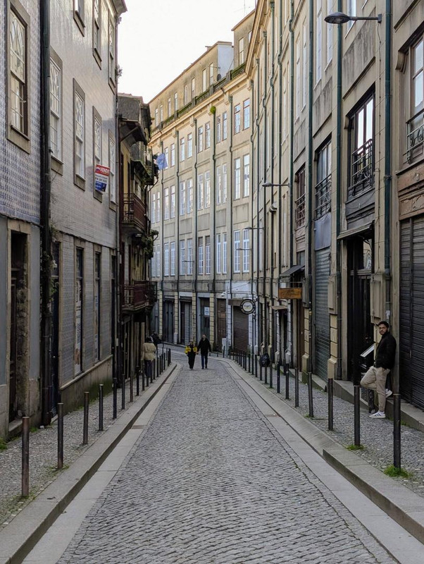 641566886 25568693202830309 3976246849268651033 n