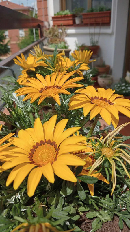 IMG_20240426_131340_617