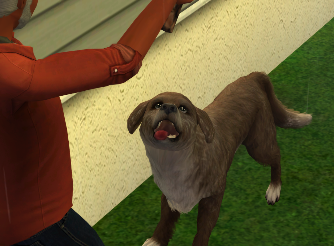 Sims2-EP9-RPC-2023-02-25-19-21-54-77