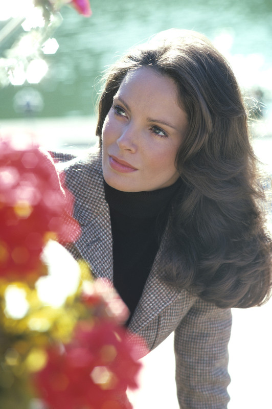 Jaclyn_Smith_b41