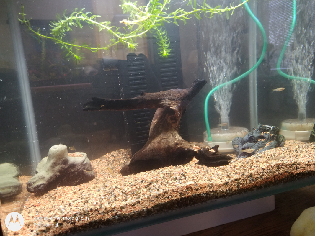 IMG_20201108_141918311