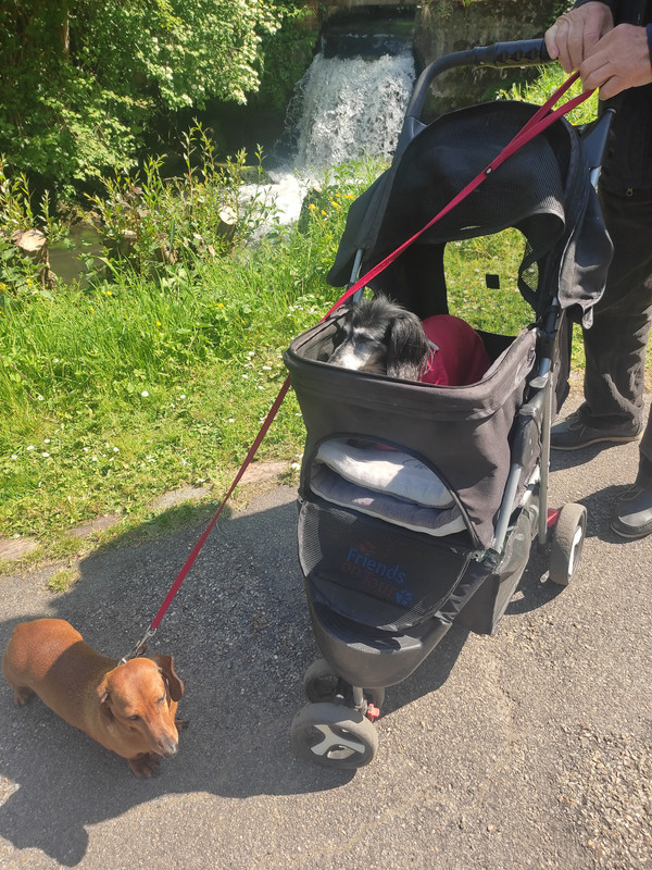 [Image: IMG-20250508-155615.jpg]