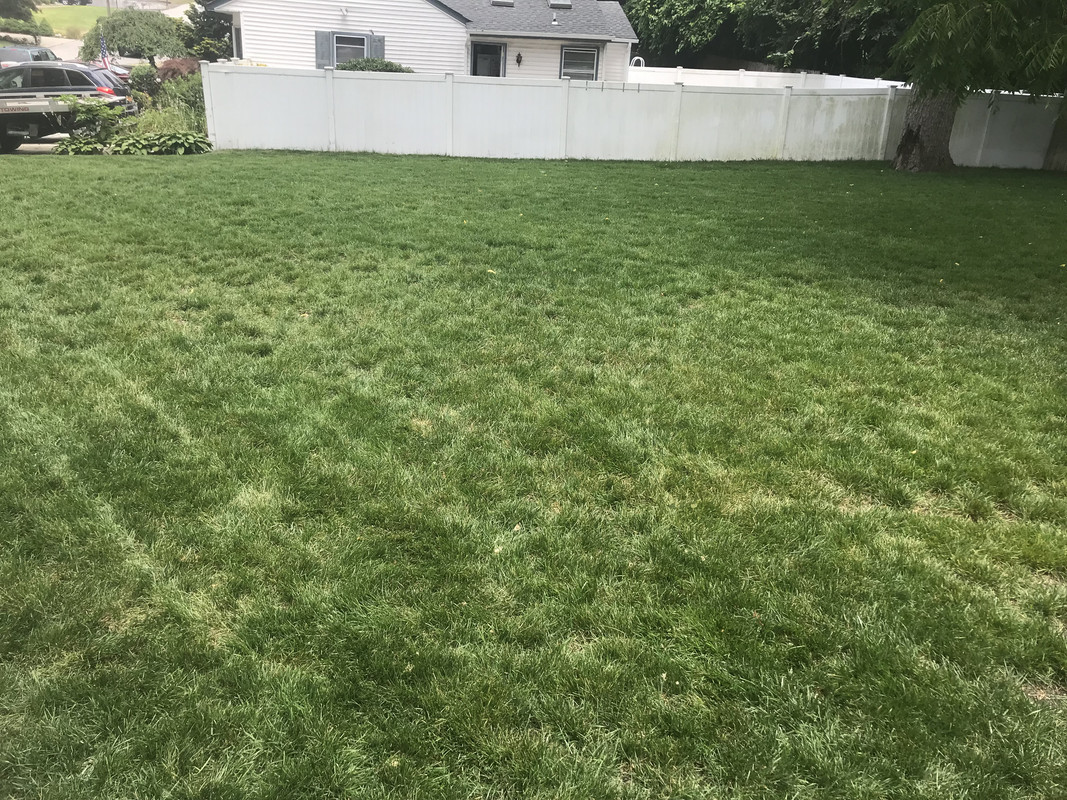 2CE23AE9-384F-49F3-856D-A57AE0CD5EE5