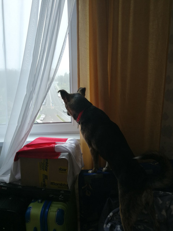 IMG-00545824a2175a407def1a26dc3a785c-V