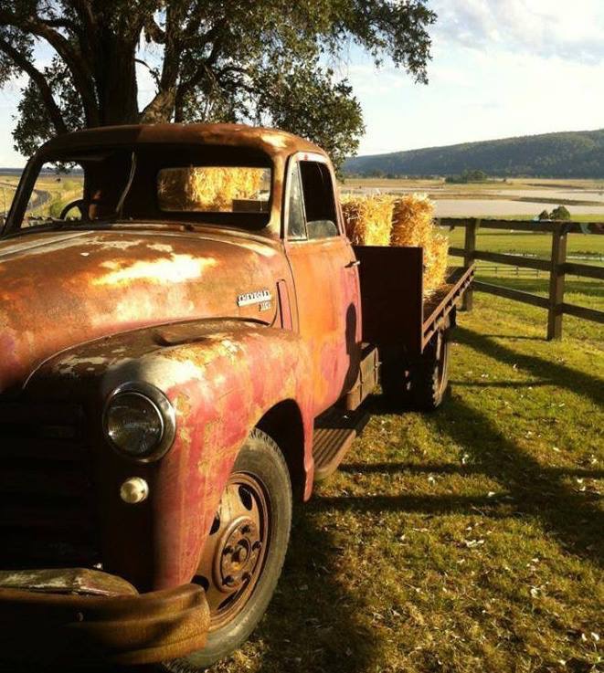 DF2055F2-3284-46ED-BE50-581DF2276795