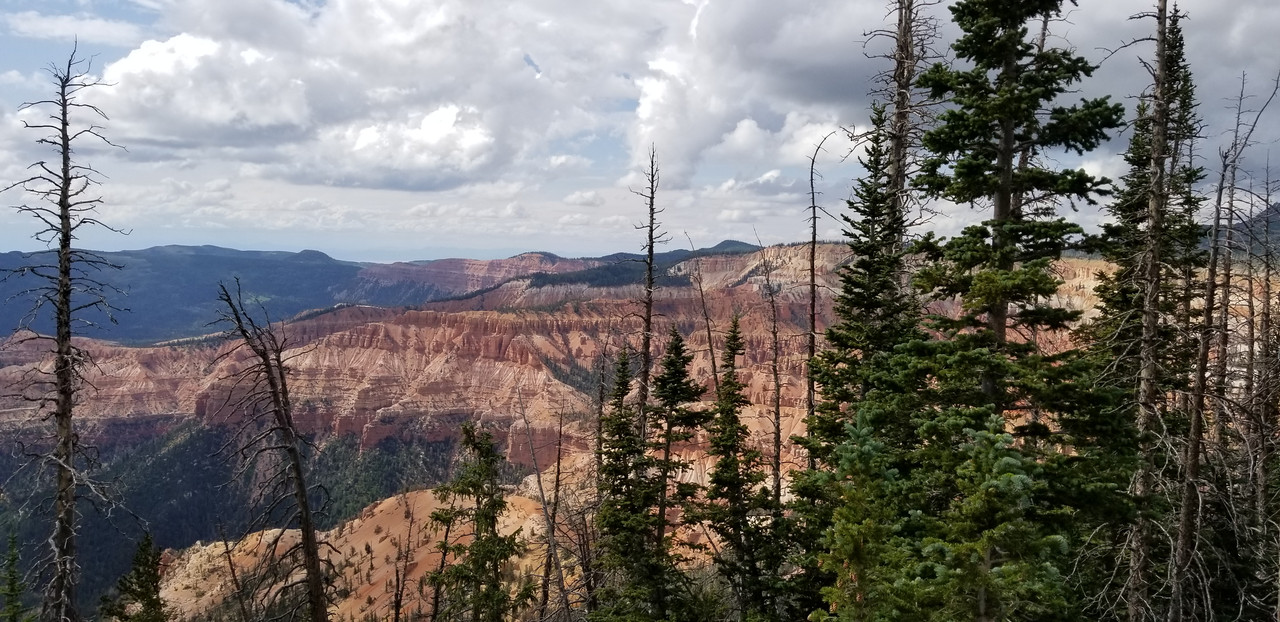 20190725_163341