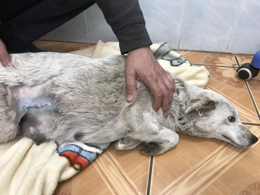 IMG-6b4cec035dad5052ae0cb3b11621e417-V