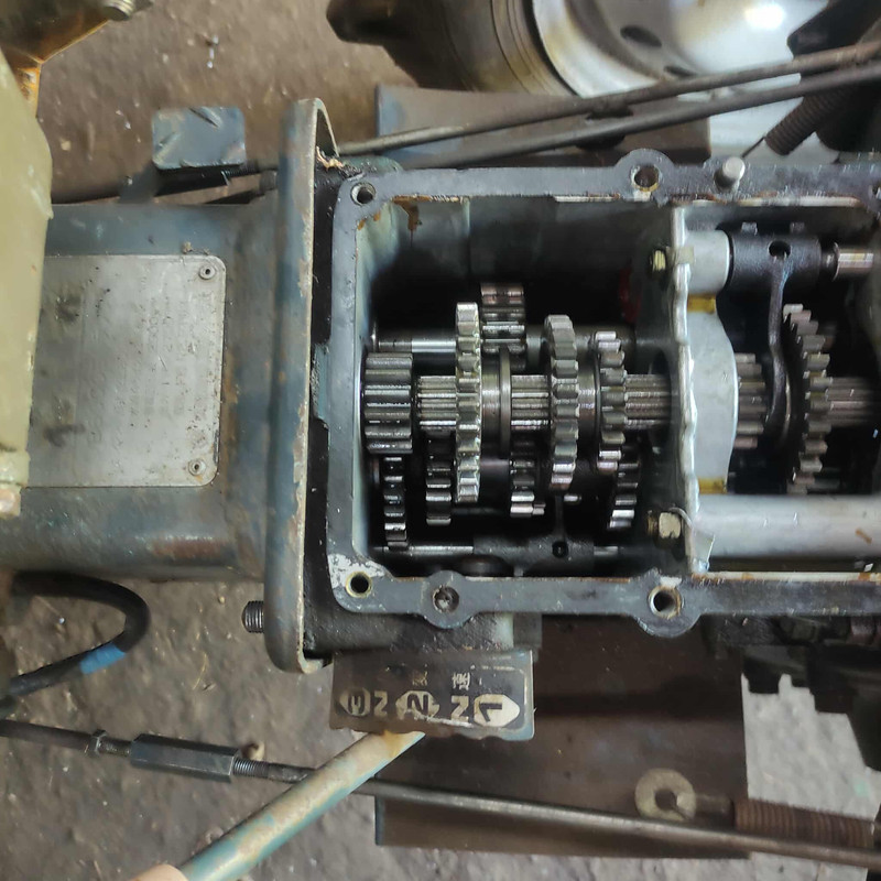 541344247_1426415348463590_4683941907696706444_n