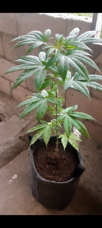 Screenshot_2023-07-31-22-15-59-132_com.google.android.apps.photos