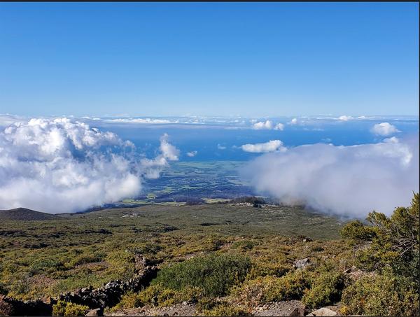 [Image: Hawaii20241119Leleiwi-Overlook-Ranch-Wal...-Park2.jpg]