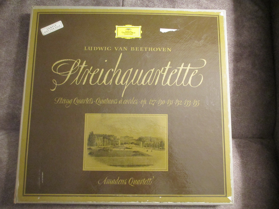 IMG 7262 — Postimages