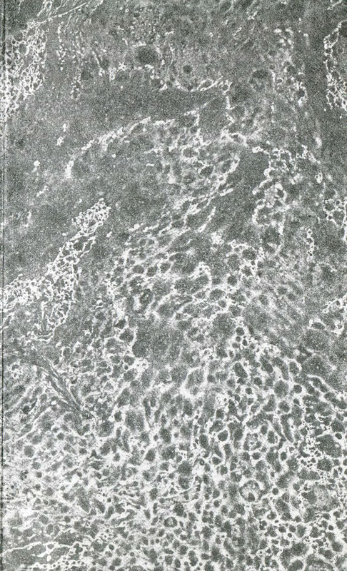 p0003