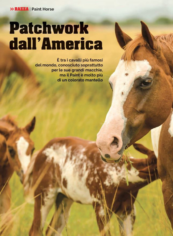 Il Mio Cav (Feb 2022) 11