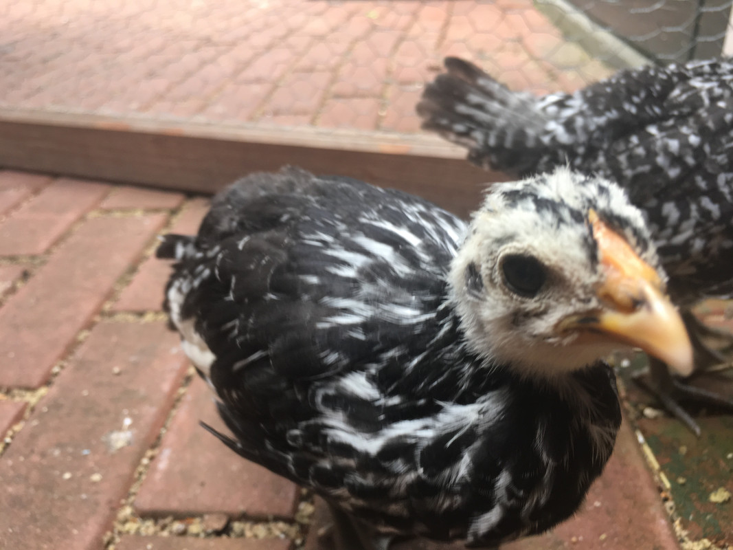 106D7D93-9710-4057-845B-83078C0DB007