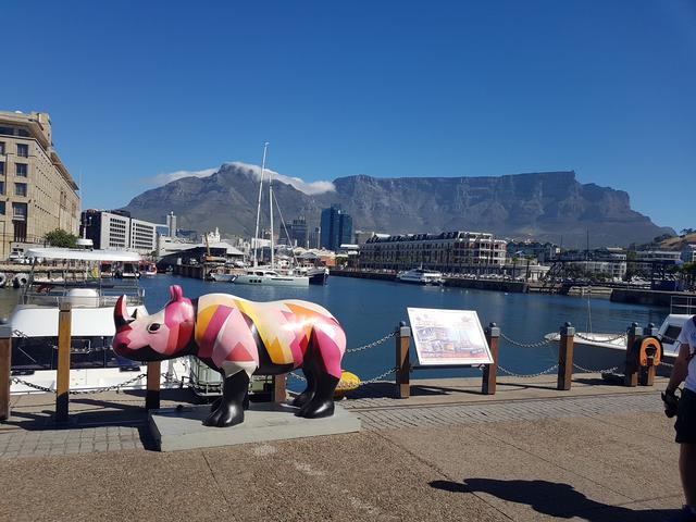 DÍA 4: CAPE TOWN - Sudáfrica y Seychelles 2018 - Una Honeymoon llena de vida (19)