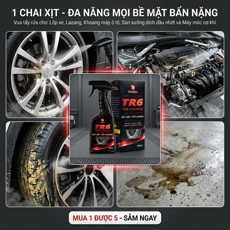 Ứng dụng đa năng của PONIKA TR6