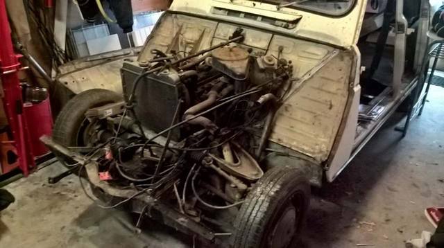 17742522_622789357920825_427106826_n