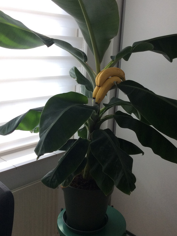 278BCFE4-8E33-4DB0-9177-413EAEBDB59B