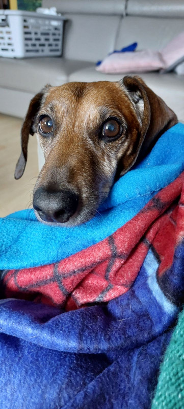 [Image: IMG-20241128-110038.jpg]