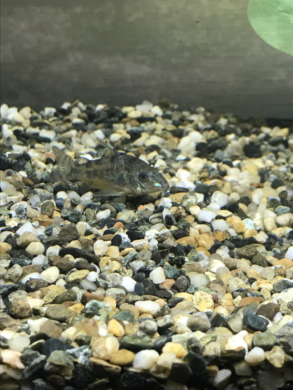 313DD1C9-BC0A-4471-886B-FDD9C182C316