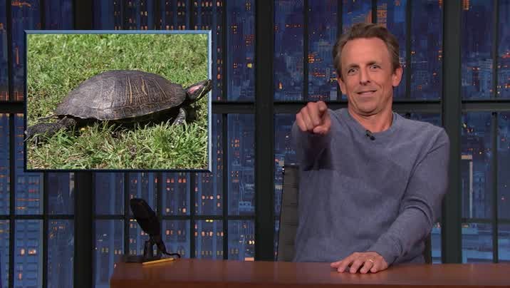 [Image: 18ak7eqy3oax.jpg]