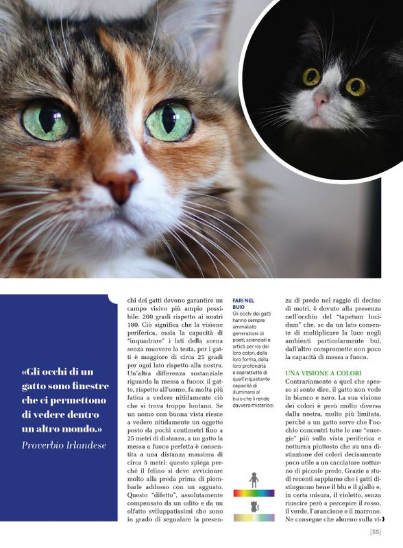 Ga Ma Dic 2024-Gen 2025 (12)