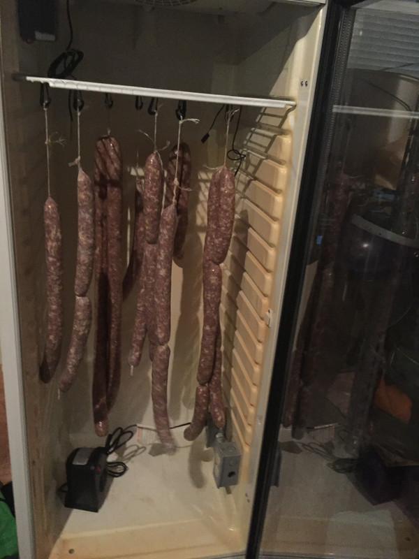 370760DD-43B3-4EEA-9D40-09F66395E731