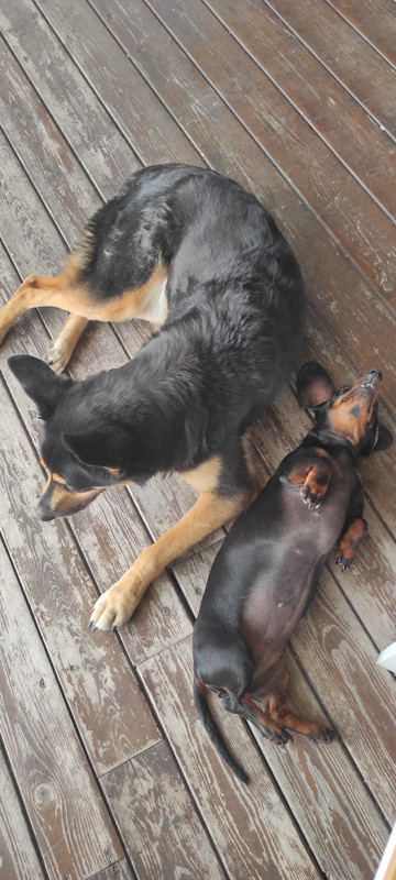 [Image: IMG-20230630-WA0009.jpg]