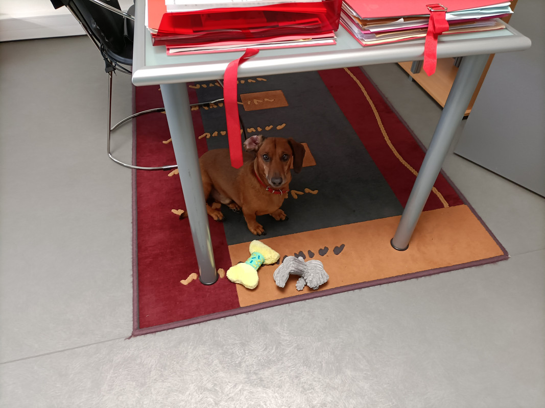 [Image: IMG20210930141942.jpg]