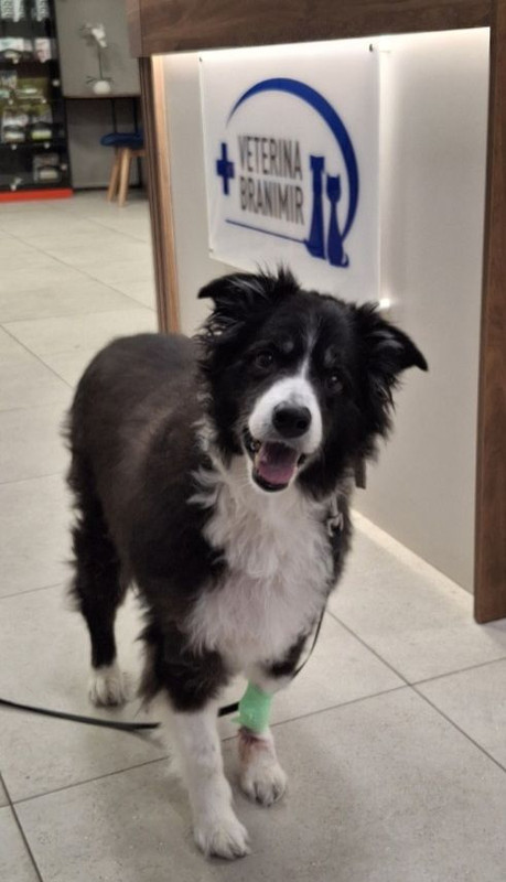 4-9-2025-ekanje-operacije2