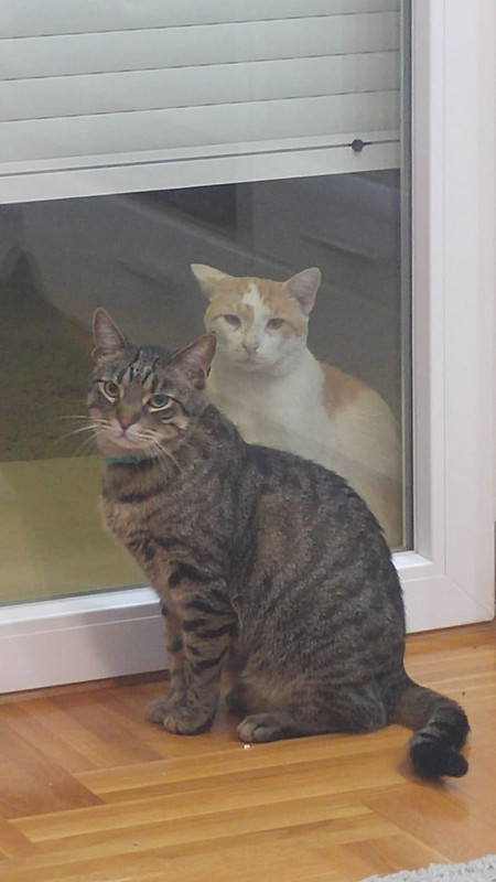 FE17D640-7B27-4D36-B2F4-9A65956F6073