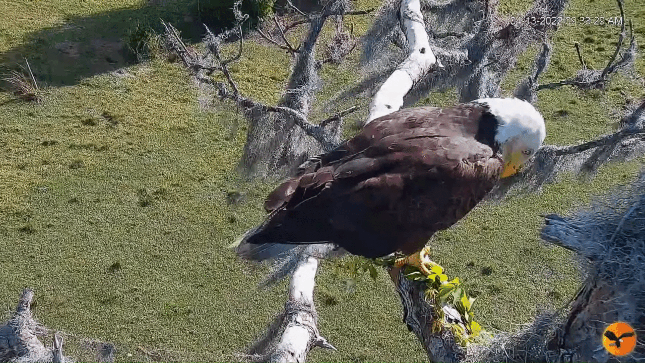 Webp.net-gifmaker (2)