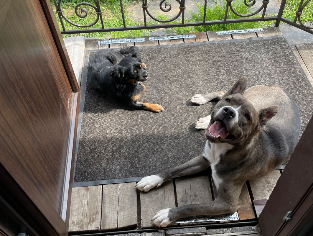 298D3748-0BB3-46C3-8F96-6923DC485819