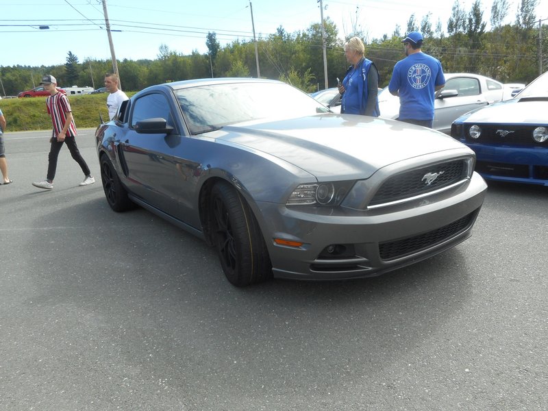 Rendez-Vous Mustang Cliche Auto Ford - 14 août 2022 Cliche2022-75